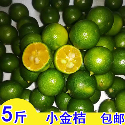 Cây chanh trồng trong chậu với quả chanh Cây giống phía nam và phía bắc trồng ban công sân trong năm đó cây chanh - Nguồn cung cấp vườn