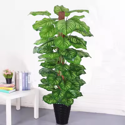 Mô phỏng cây xanh giả cây xanh thì là trong nhà trang trí phòng khách sàn lớn mô phỏng cây cảnh trồng hoa giả trang trí hoa - Hoa nhân tạo / Cây / Trái cây