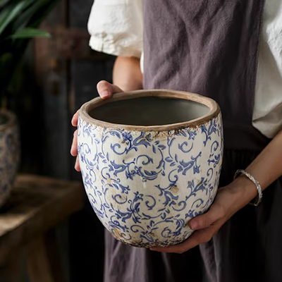 0 Bình trồng cây thủy canh đơn giản sáng tạo thủy tinh thủy canh đồng xu cỏ chậu hoa lục bình trong suốt màu xanh lá cây củ cải chai thủy tinh - Vase / Bồn hoa & Kệ