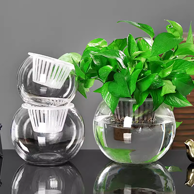 Nước đựng đồ dùng trong chậu bình đồ trang trí trong suốt giỏ màu xanh lá cây chậu hoa thủy canh lưu trữ nước chai thủy tinh cây chậu hoa - Vase / Bồn hoa & Kệ
