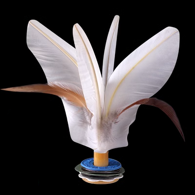Dandong Jinlong Goose Feather Trò chơi đá cầu chuyên dụng đá cầu người lớn thể dục trẻ em học sinh tiểu học thể thao đá cầu lông vũ - Các môn thể thao cầu lông / Diabolo / dân gian
