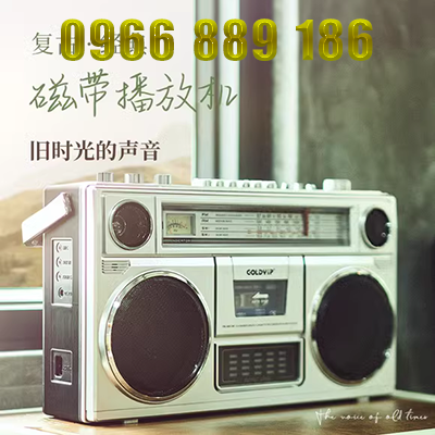 [Muzili] Máy ghi âm vinyl gỗ rắn máy quay đĩa cũ Máy ghi âm cổ điển loa quay lớn ẩn - Máy hát