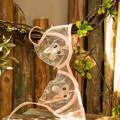 Bộ áo lót nữ không dây của phó nháy tập hợp áo lót, chống chảy xệ, điều chỉnh lưng áo lót cực đẹp. - Áo ngực thể thao
